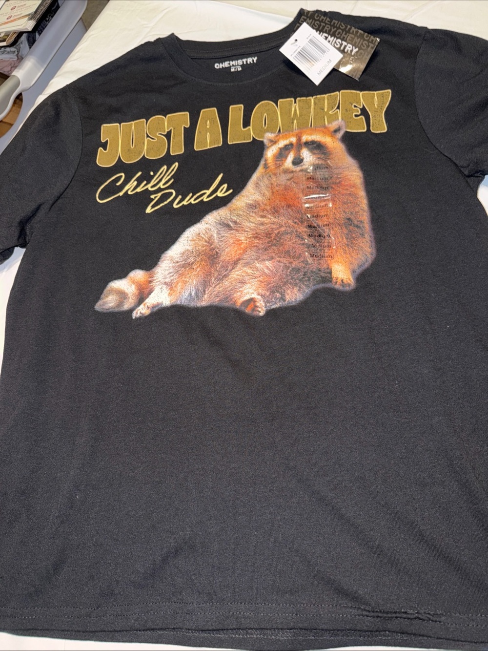 Just A Lowkey Chill Dude Raccoon Graphic Tee - Black